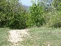 SZUSZOG - A BEJRAT